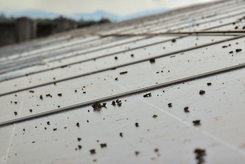 The impact of steel quality on solar panel durability -image