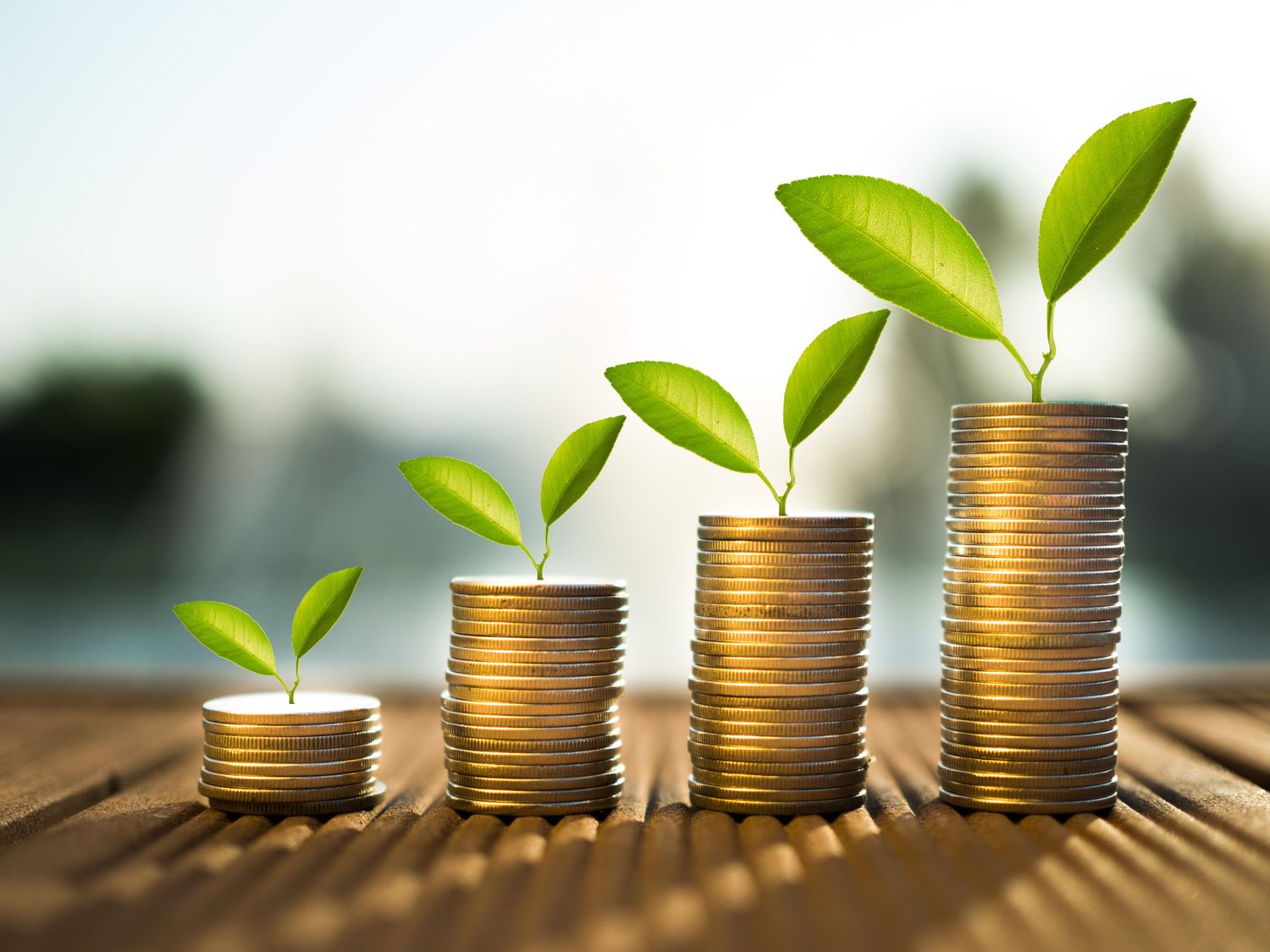 MSME financing: What you need to know about funding your business